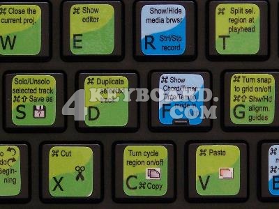 Garageband Keyboard sticker