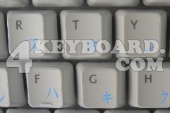 Japanese Katakana Keyboard sticker