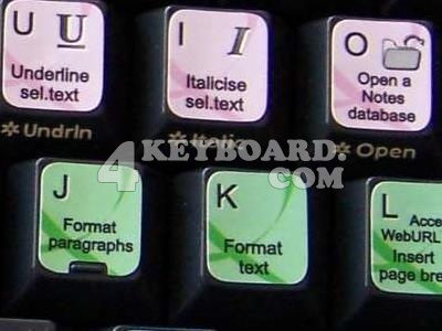 IBM Lotus Notes keyboard stickers