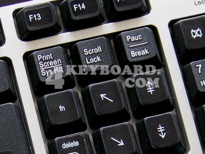 Mac Function keysi sticker