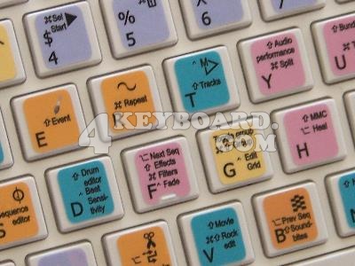 Motu keyboard stickers