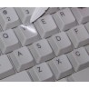 Blank for Apple keyboard stickers