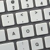 Apple Dvorak non-transparent keyboard sticker