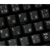 Norwegian transparent keyboard  stickers