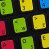 Learning Dvorak Colored non transparent keyboard stickers