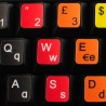 Learning Italian Colored non transparent keyboard stickers