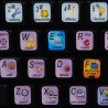 Autodesk Flame keyboard sticker