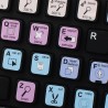 Xara Designer Pro keyboard sticker