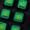 Bloomberg Terminal keyboard sticker