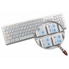 Swiss transparent keyboard  stickers