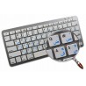 Apple Arabic English non-transparent keyboard sticker