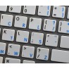 Apple Dvorak English non-transparent keyboard sticker