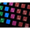 Learning Italian Colored non transparent keyboard stickers