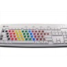 Learning German Colored non transparent keyboard stickers
