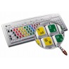 Learning German Colored non transparent keyboard stickers