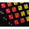 Learning Portuguese Brazilian Colored non transparent keyboard stickers