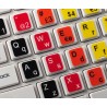 Learning Swedish/Finnish Colored non transparent keyboard stickers