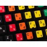 Learning English Lower & Upper Case Colored non transparent keyboard stickers