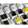 Learning English US Colored Apple non transparent keyboard stickers