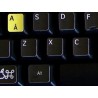Learning English UK Colored Apple non transparent keyboard stickers