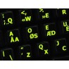 Glowing fluorescent Programmer Dvorak English keyboard sticker