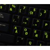 Glowing fluorescent Programmer Dvorak keyboard sticker