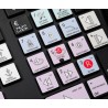 Avid Pro Tools Galaxy series keyboard sticker apple