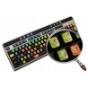 FRUITY LOOPS keyboard sticker