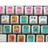 Neuratron PhotoScore keyboard sticker