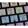 Adobe Premiere Galaxy series keyboard sticker