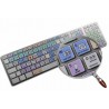 SAMPLITUDE Galaxy series keyboard sticker apple