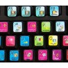 Avid DS Nitris keyboard sticker