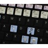 VIRTUAL DJ Galaxy series keyboard sticker apple