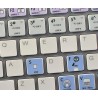 VIRTUAL DJ Galaxy series keyboard sticker apple