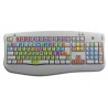 INDESIGN keyboard sticker