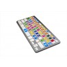 Magix Vegas keyboard sticker