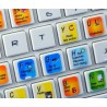 Microsoft Excel keyboard sticker