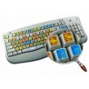 Microsoft Word keyboard sticker