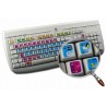 Autodesk AutoCAD keyboard sticker