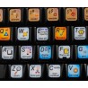 Autodesk Softimage keyboard sticker