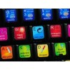 Corel Painter keyboard sticker