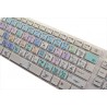 Corel Painter Galaxy series keyboard sticker apple