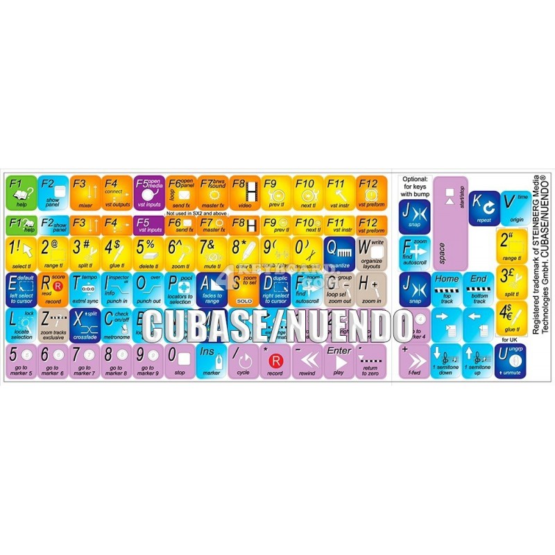 cubase 11 vs nuendo 11