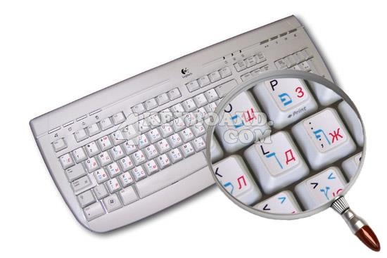 The Best Stickers for Keyboard